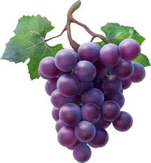Grapes