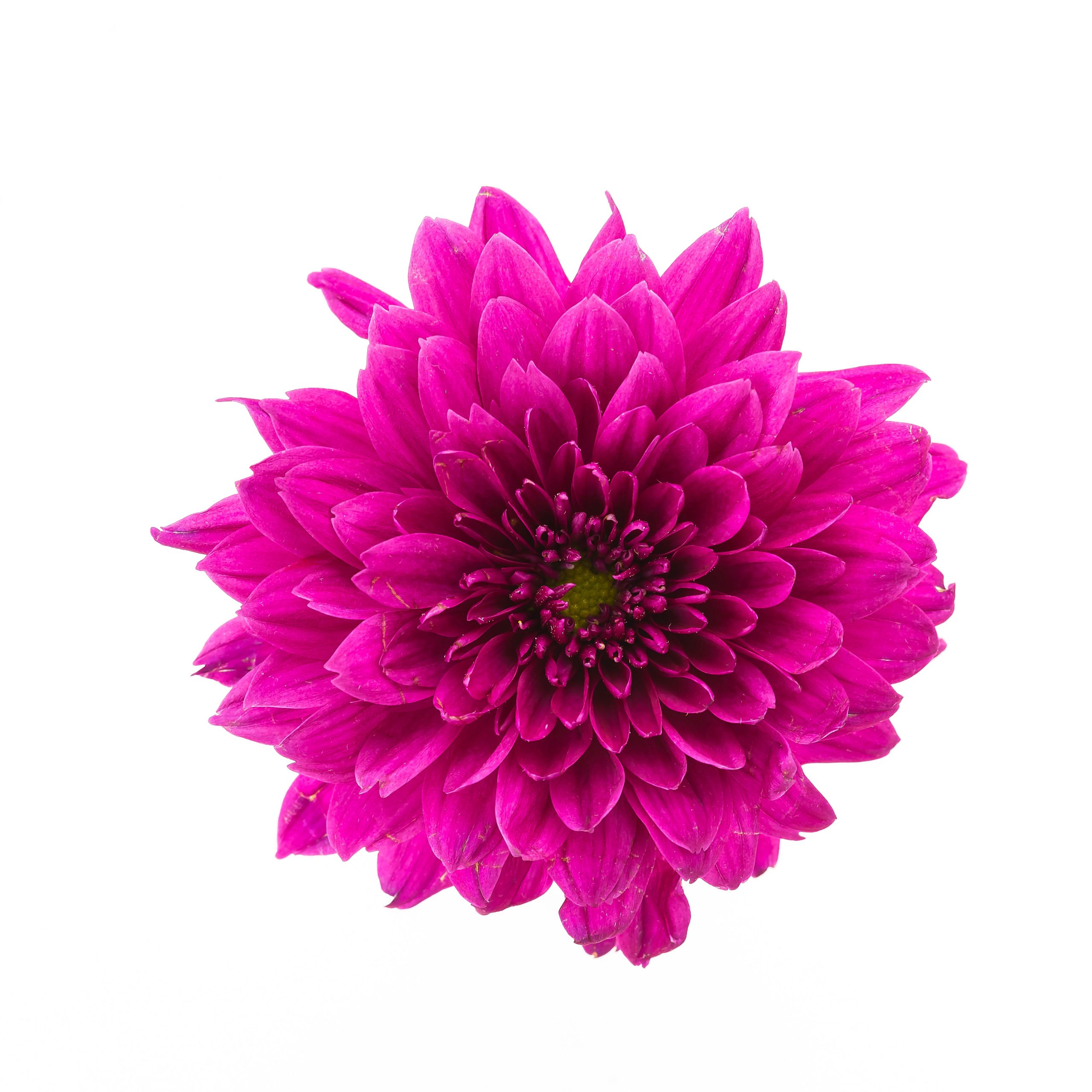 Clash 5634 - Image 4