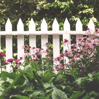 Wooden Fence