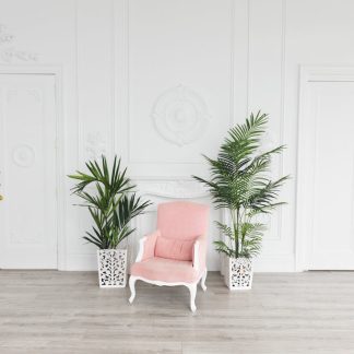 Pink Armchair