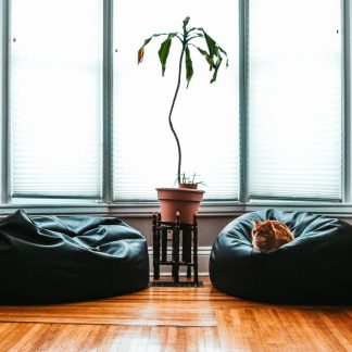 Black Beanbag testing