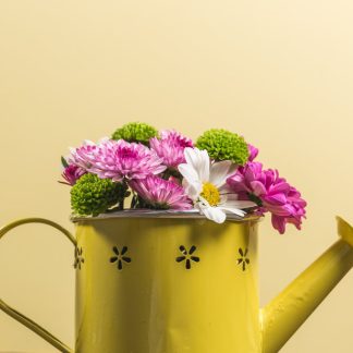 Yellow watering can testing